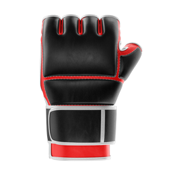 UFC/MMA